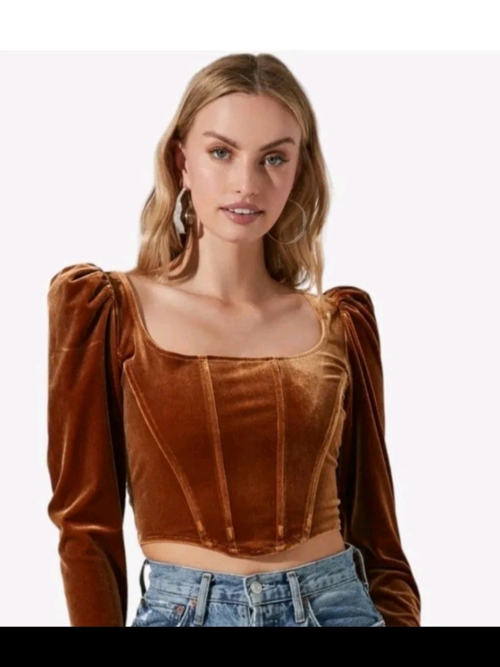 Astr 'Ashbury' Velvet Puff-Sleeve Crop Top in Burnt Copper